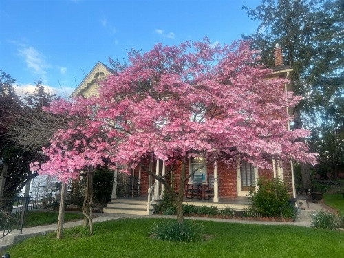 Brickhouse Inn B&B image 21
